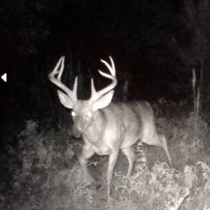 Meet your Posher, Jackson